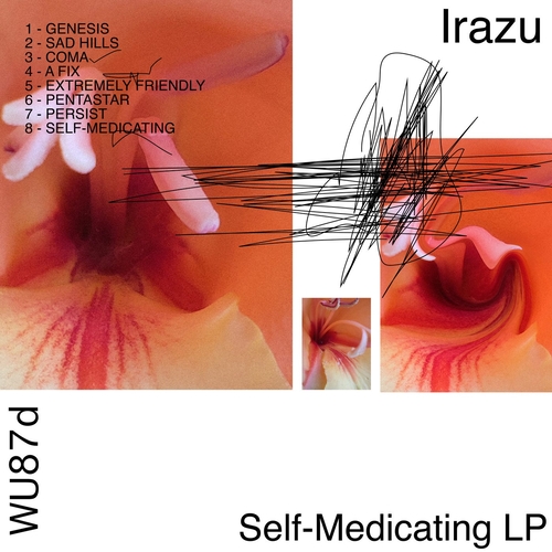 Irazu - Self-Medicating LP [WU87D]